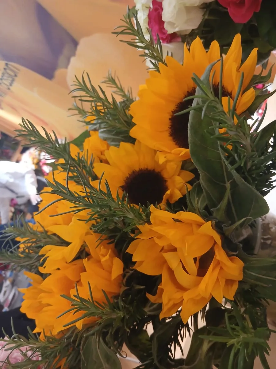 Sunflower